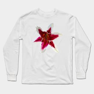 Lily Long Sleeve T-Shirt